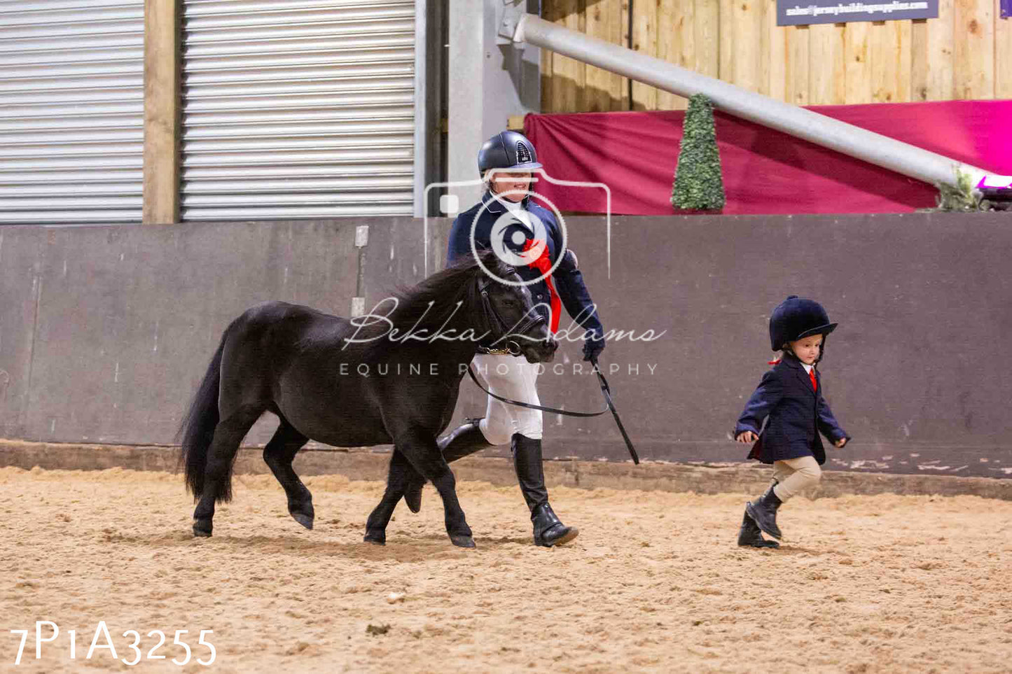 Home Farm Funshine Show 2024 - Inhand Showing 14th September