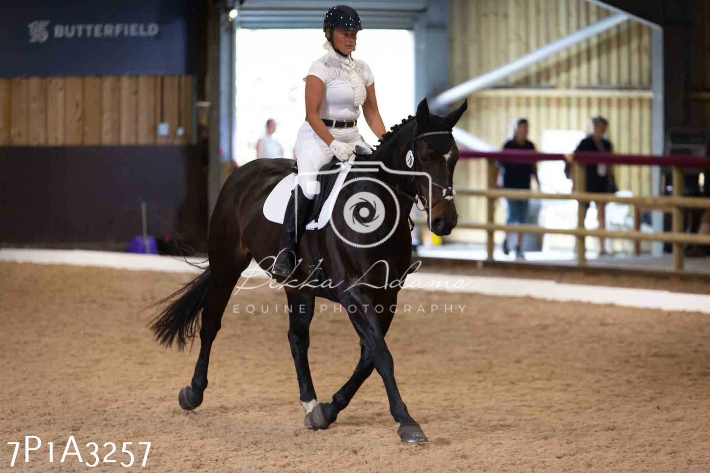 JHOYS 2023 - 8th September - Dressage
