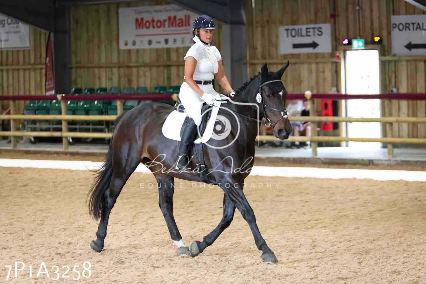 JHOYS 2023 - 8th September - Dressage