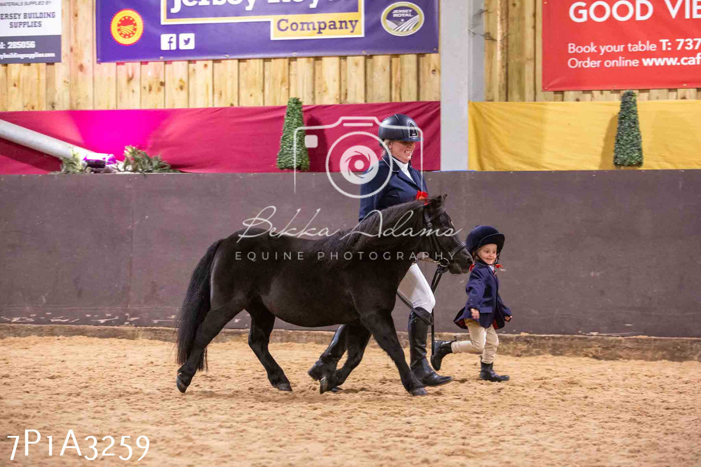 Home Farm Funshine Show 2024 - Inhand Showing 14th September