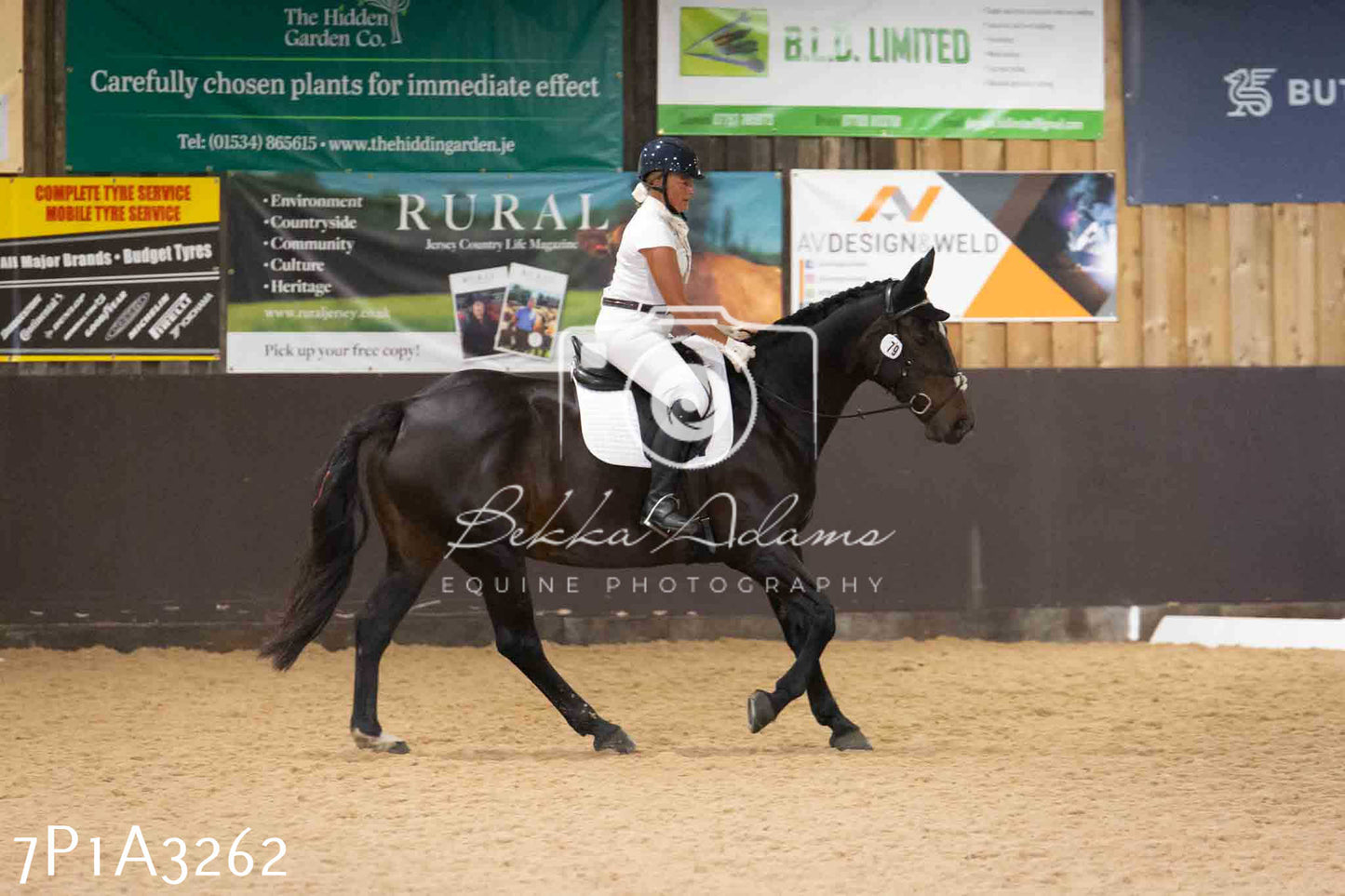 JHOYS 2023 - 8th September - Dressage
