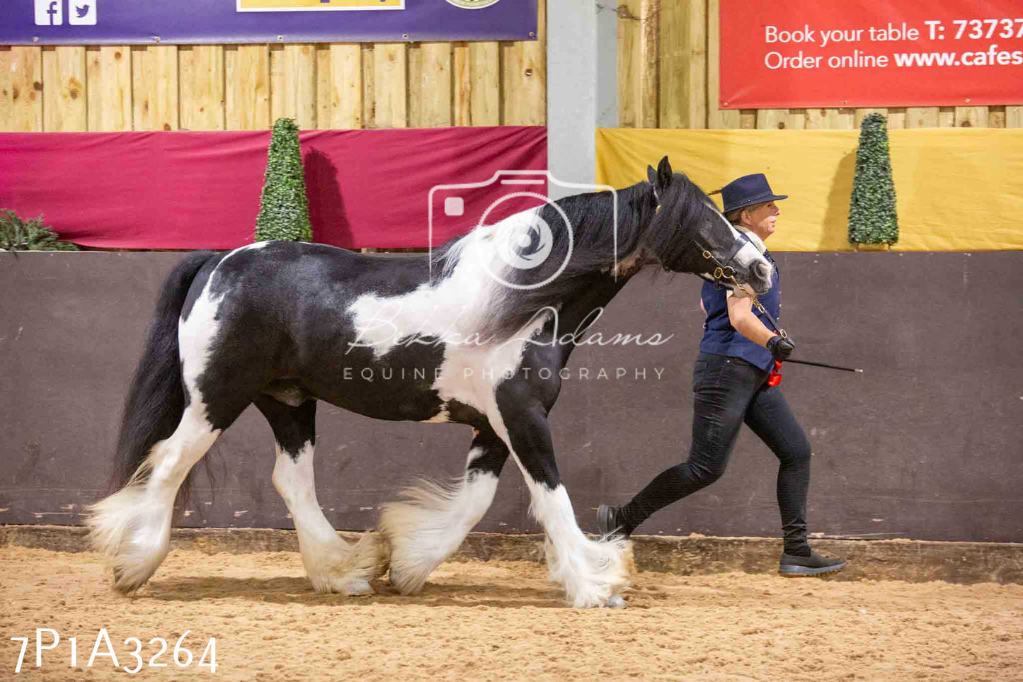 Home Farm Funshine Show 2024 - Inhand Showing 14th September