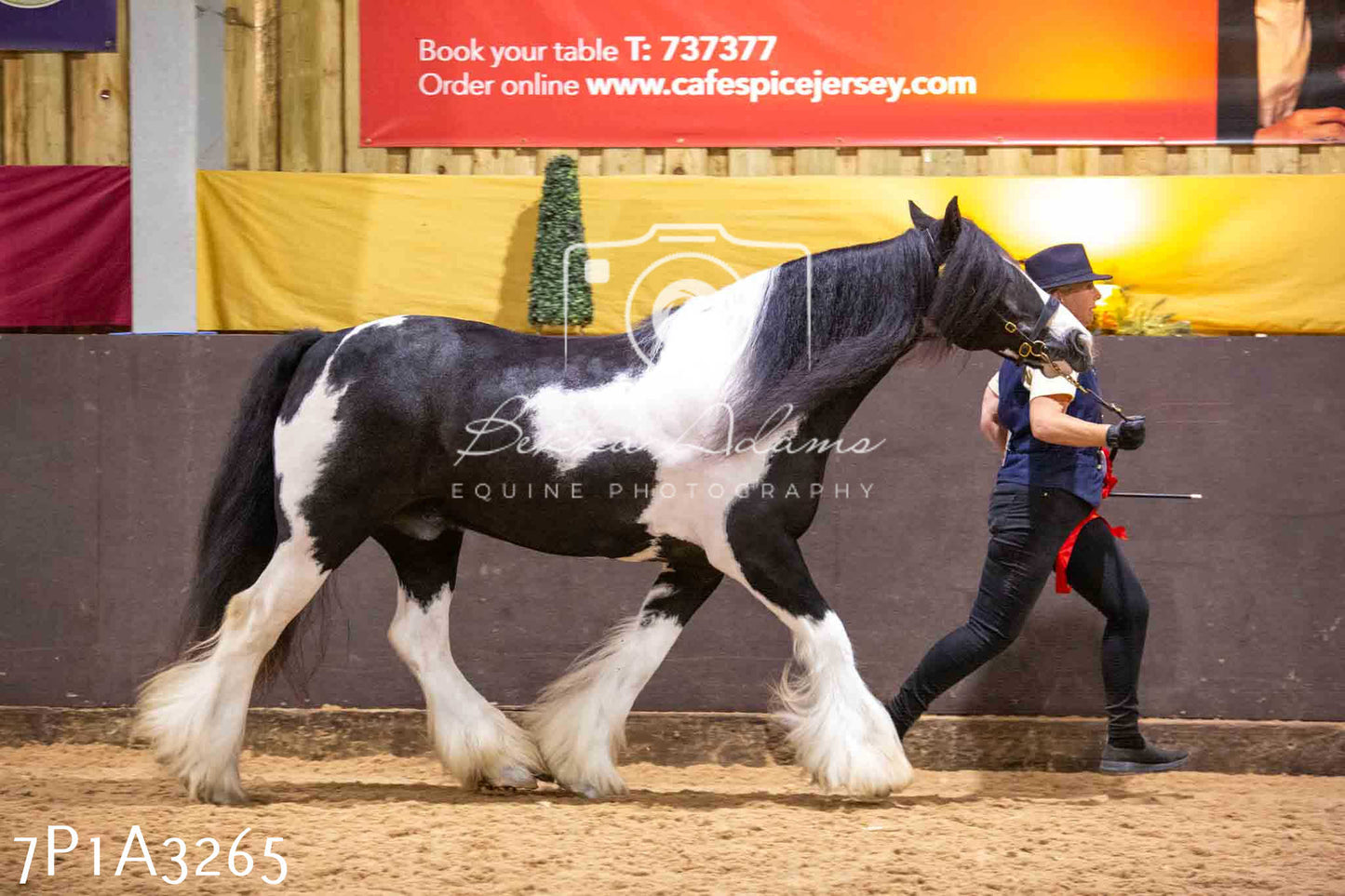 Home Farm Funshine Show 2024 - Inhand Showing 14th September