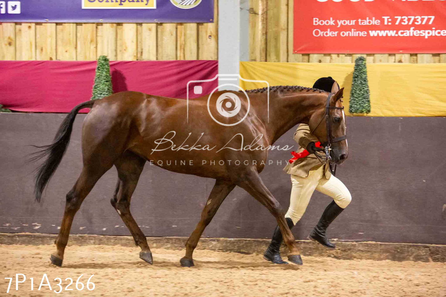 Home Farm Funshine Show 2024 - Inhand Showing 14th September