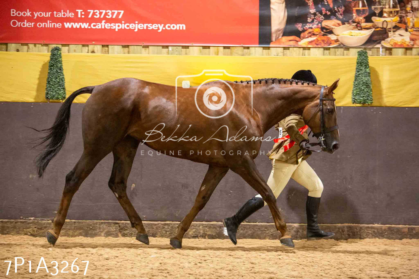 Home Farm Funshine Show 2024 - Inhand Showing 14th September
