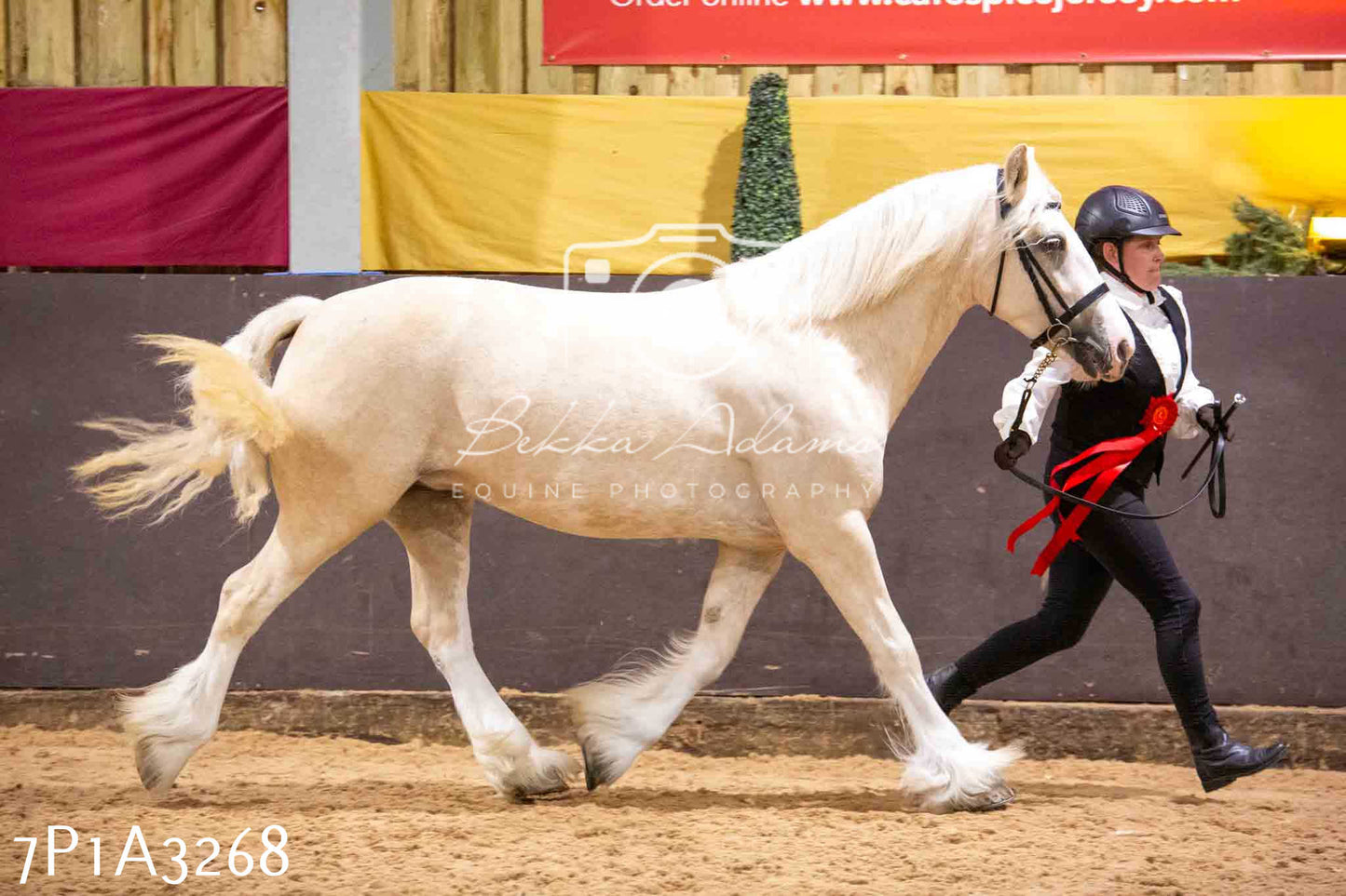 Home Farm Funshine Show 2024 - Inhand Showing 14th September
