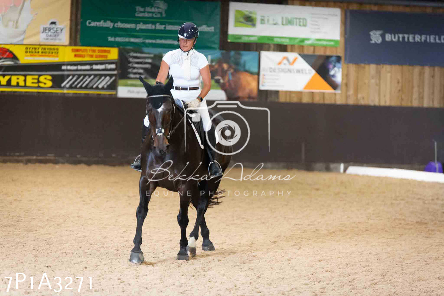 JHOYS 2023 - 8th September - Dressage
