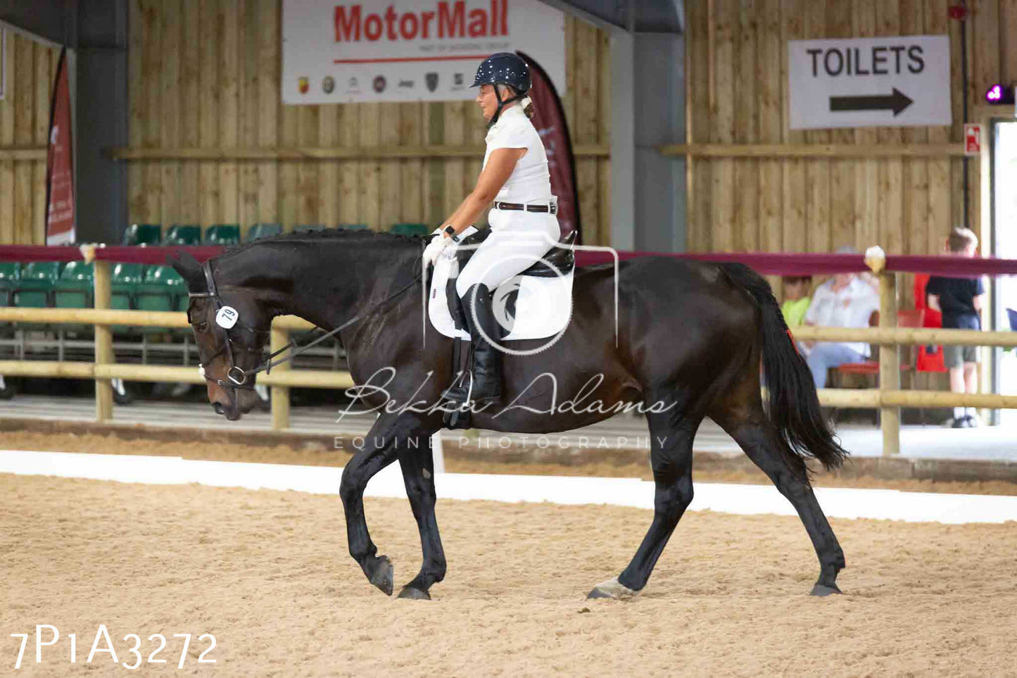 JHOYS 2023 - 8th September - Dressage