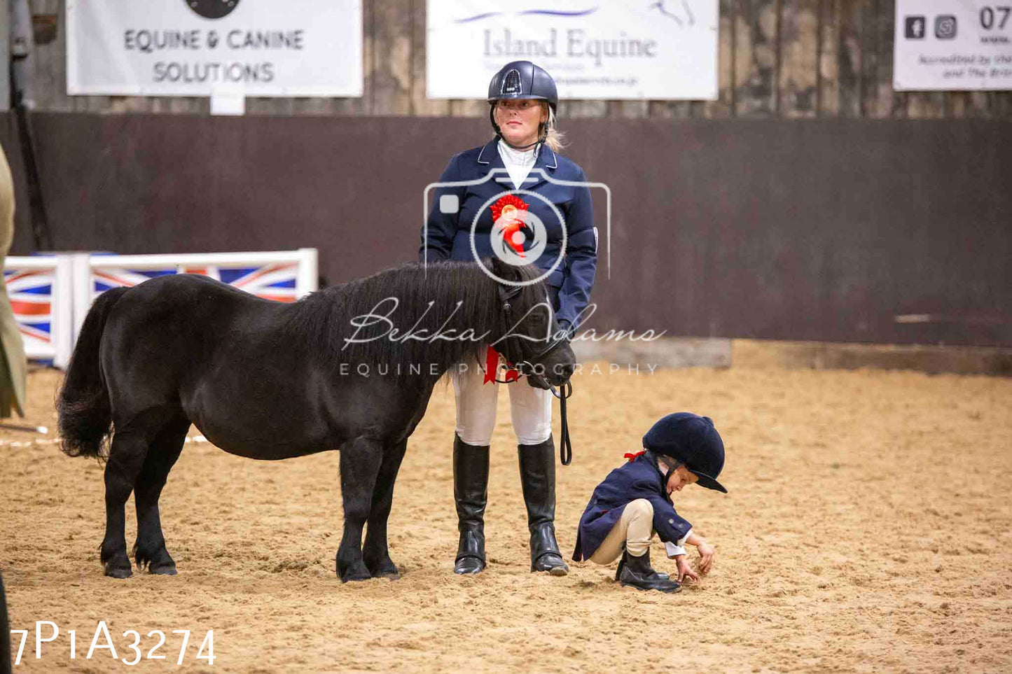 Home Farm Funshine Show 2024 - Inhand Showing 14th September