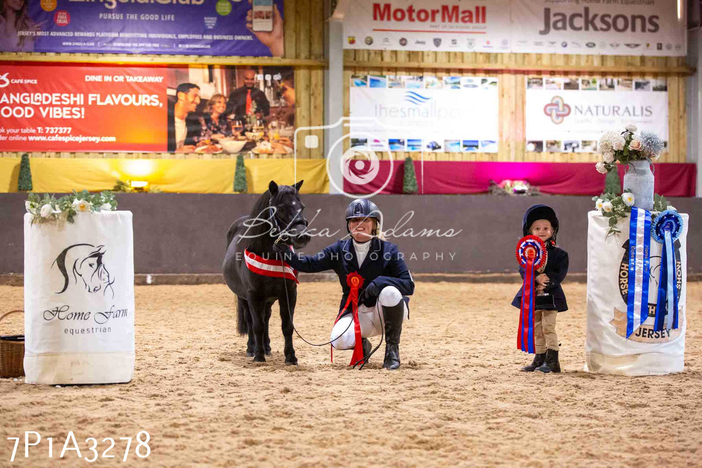 Home Farm Funshine Show 2024 - Inhand Showing 14th September