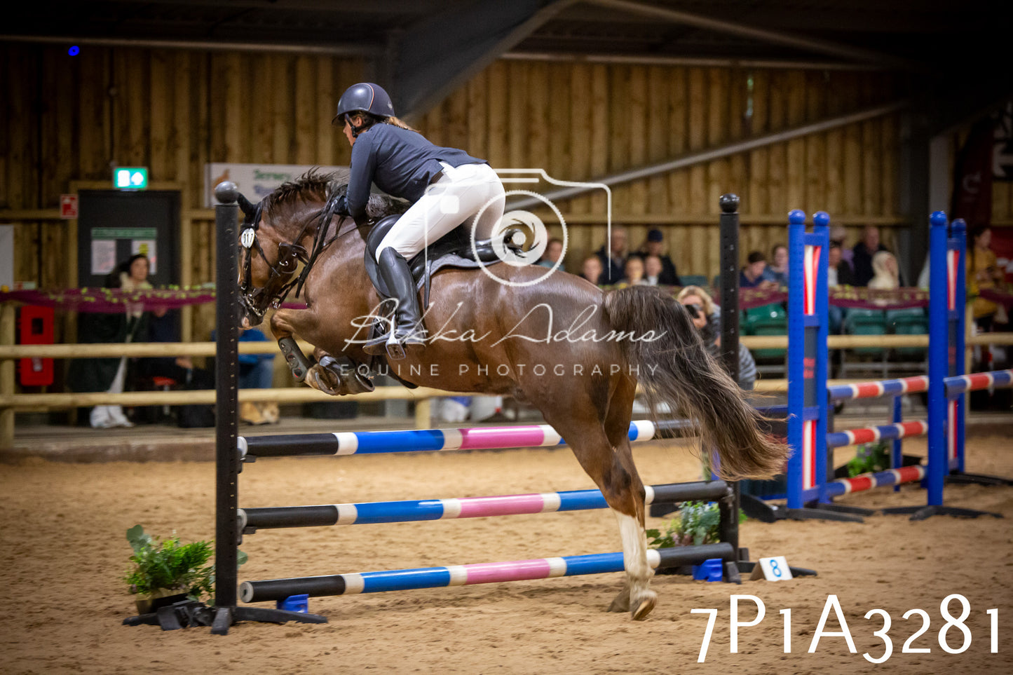 JHOYS 2025 - Junior Show Jumping - 21st September