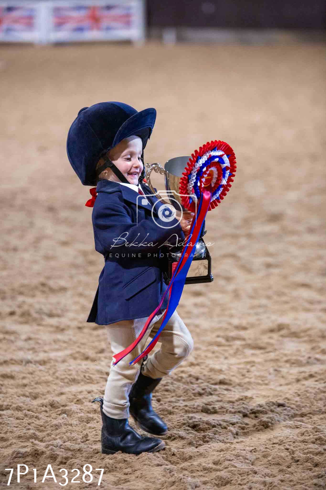 Home Farm Funshine Show 2024 - Inhand Showing 14th September