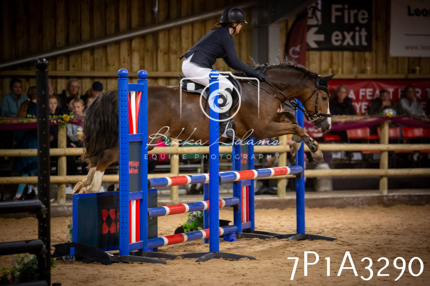 JHOYS 2025 - Junior Show Jumping - 21st September