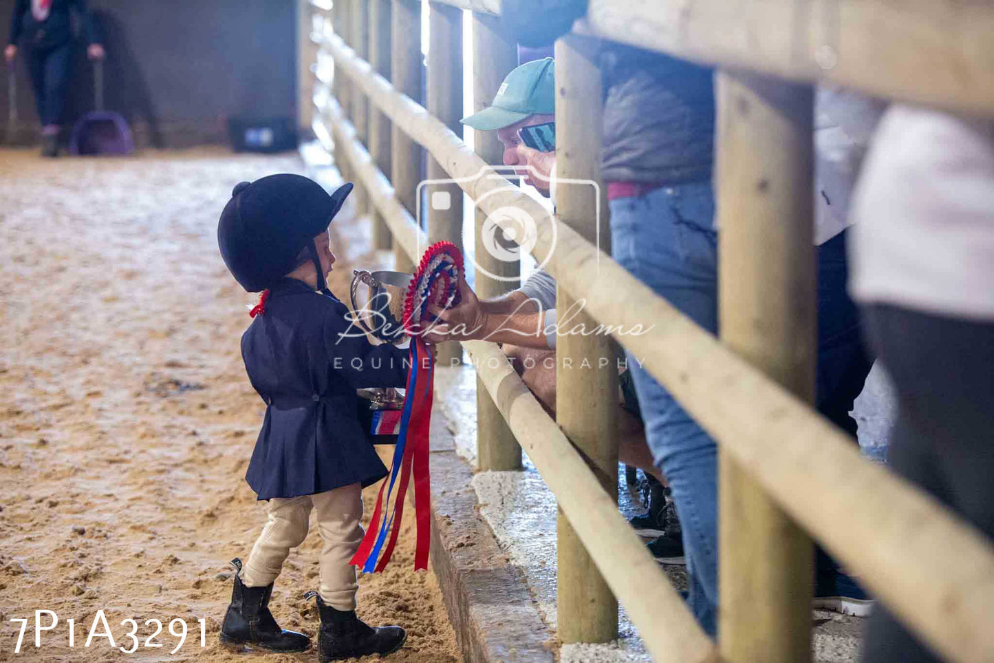 Home Farm Funshine Show 2024 - Inhand Showing 14th September