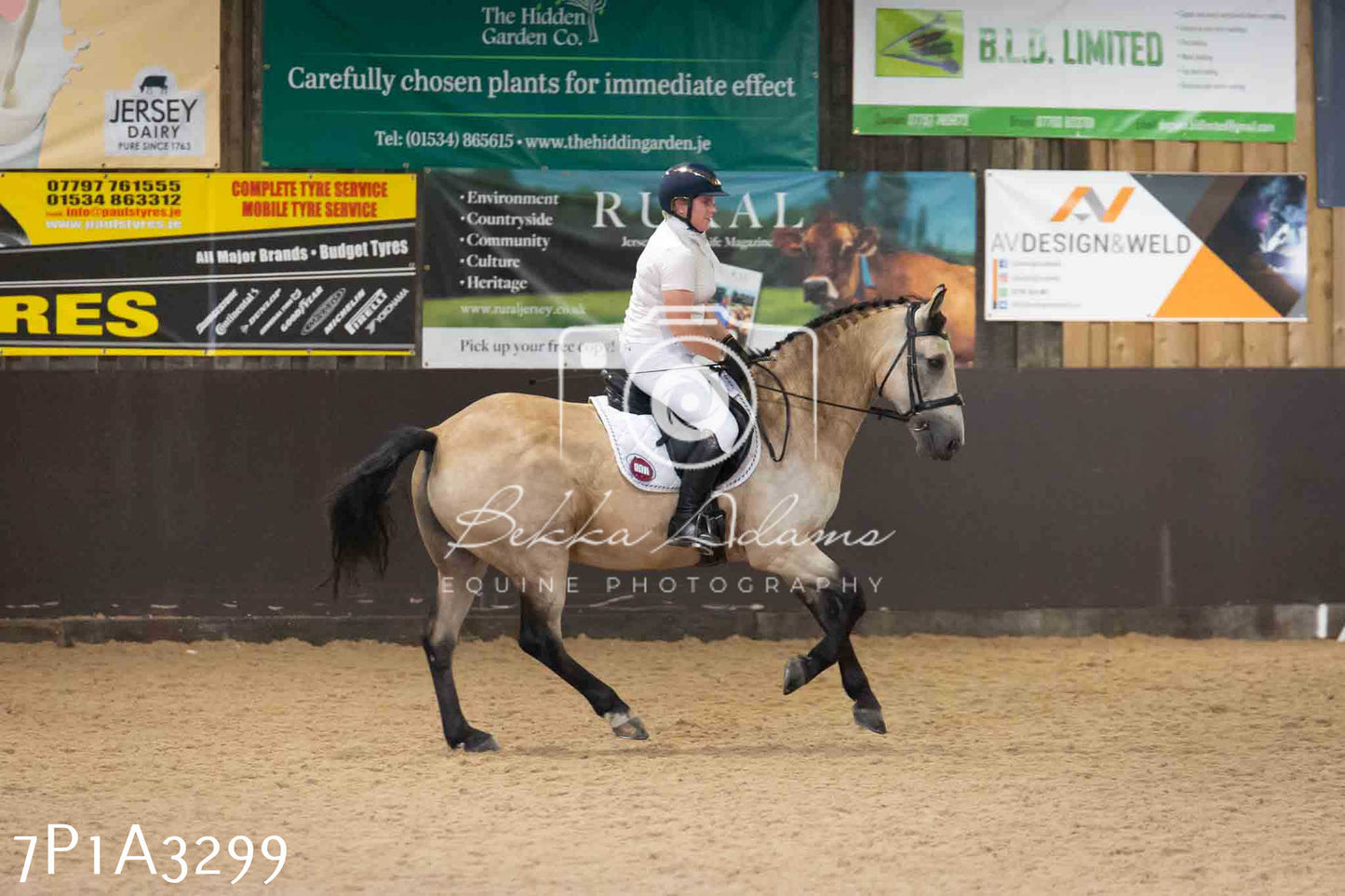 JHOYS 2023 - 8th September - Dressage