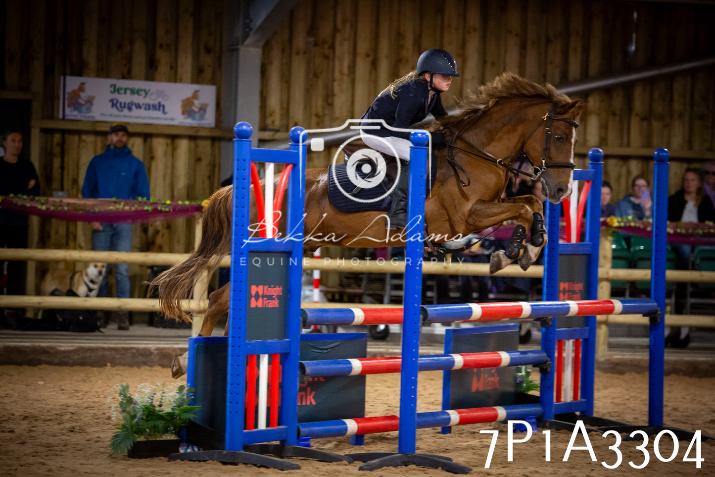 JHOYS 2025 - Junior Show Jumping - 21st September