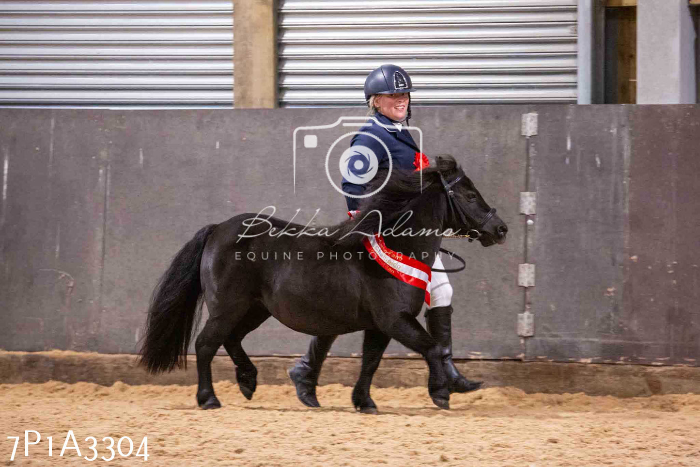 Home Farm Funshine Show 2024 - Inhand Showing 14th September