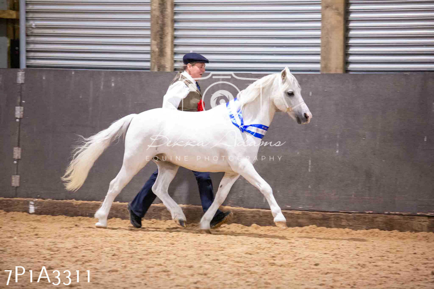 Home Farm Funshine Show 2024 - Inhand Showing 14th September