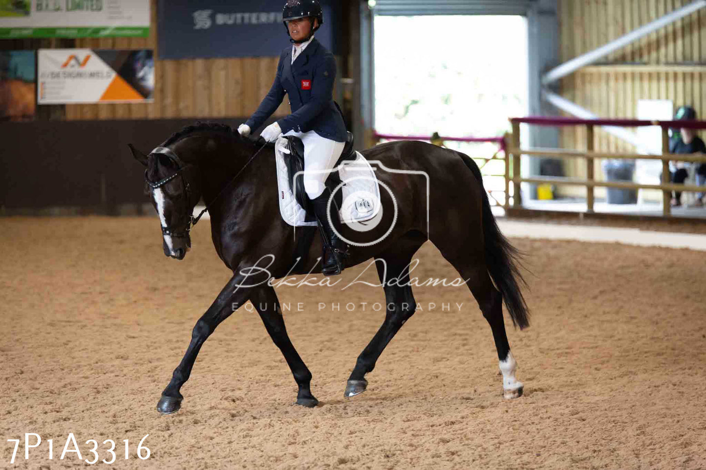 JHOYS 2023 - 8th September - Dressage