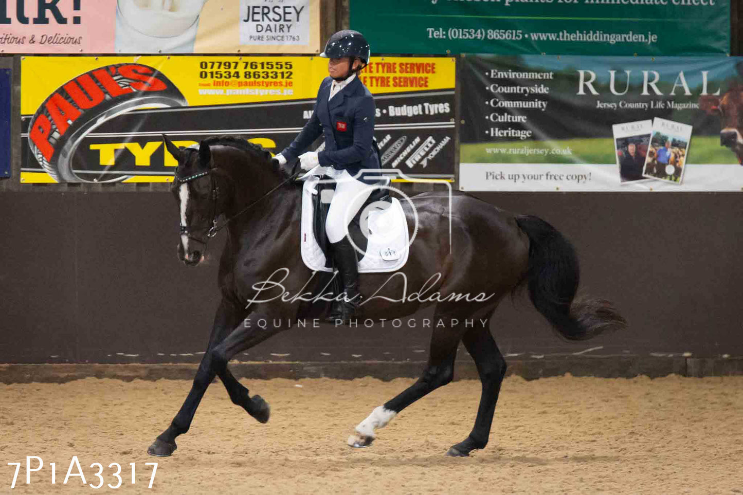 JHOYS 2023 - 8th September - Dressage