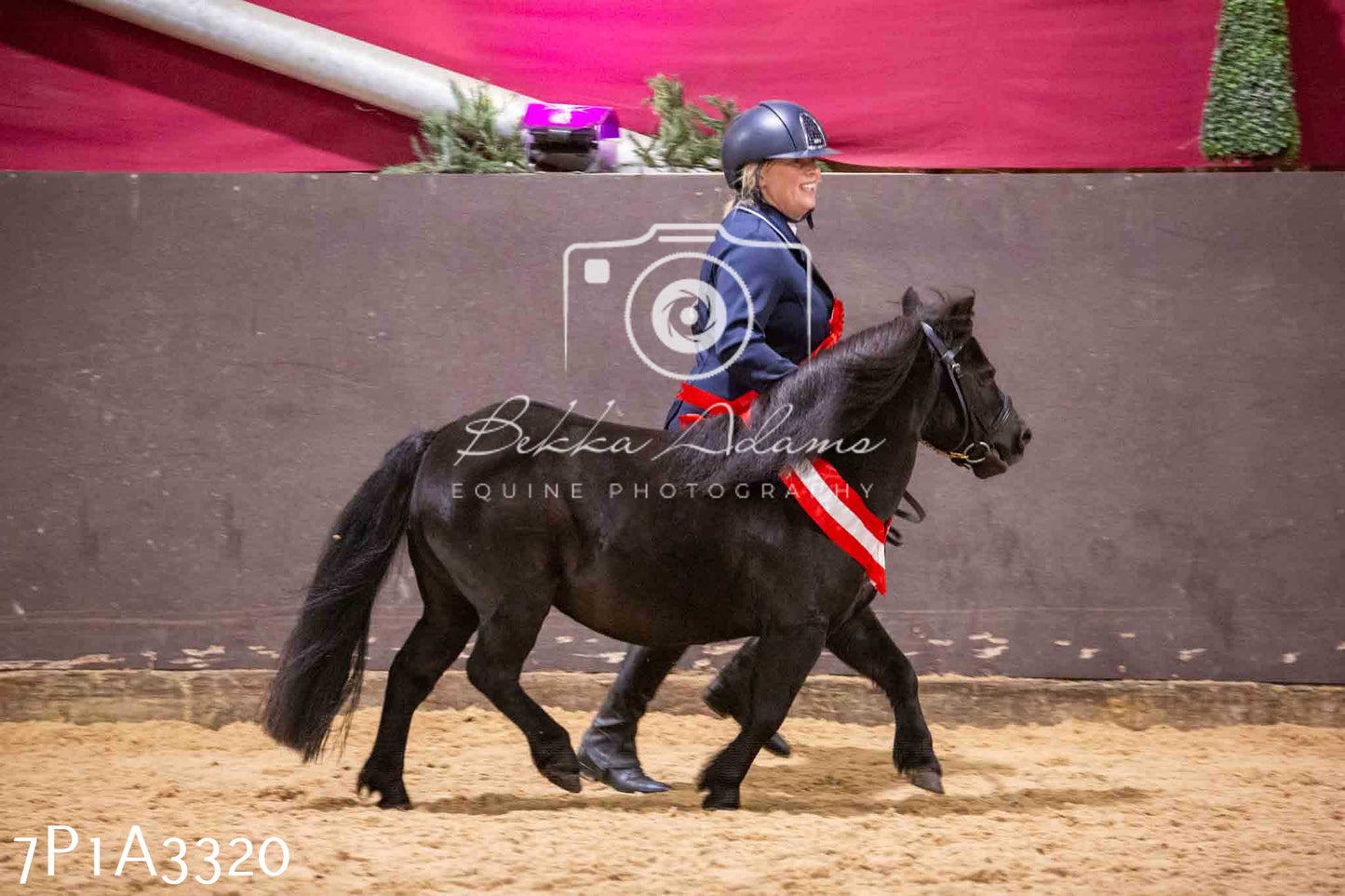 Home Farm Funshine Show 2024 - Inhand Showing 14th September