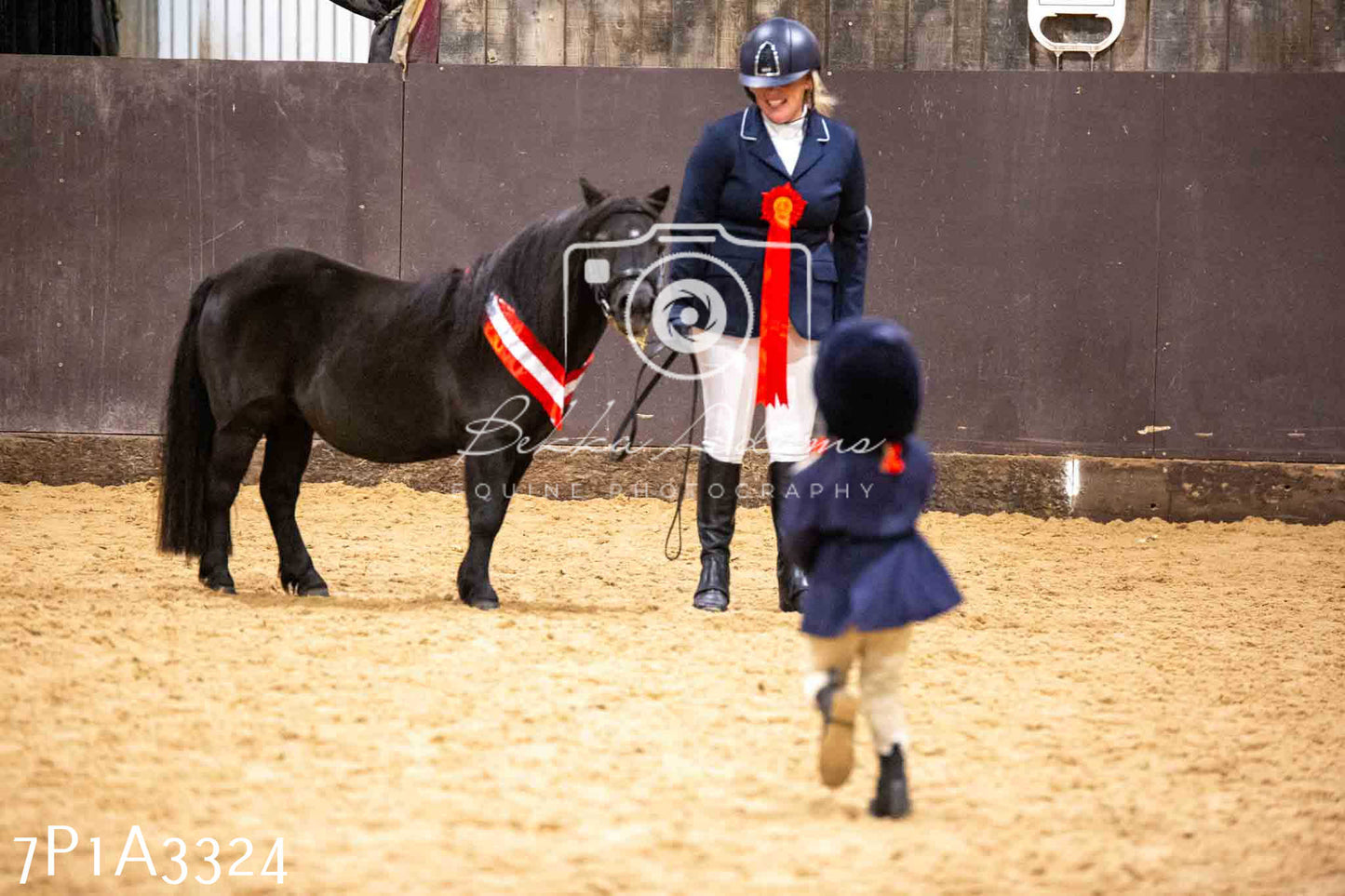 Home Farm Funshine Show 2024 - Inhand Showing 14th September