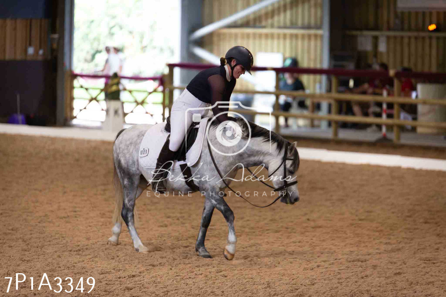 JHOYS 2023 - 8th September - Dressage