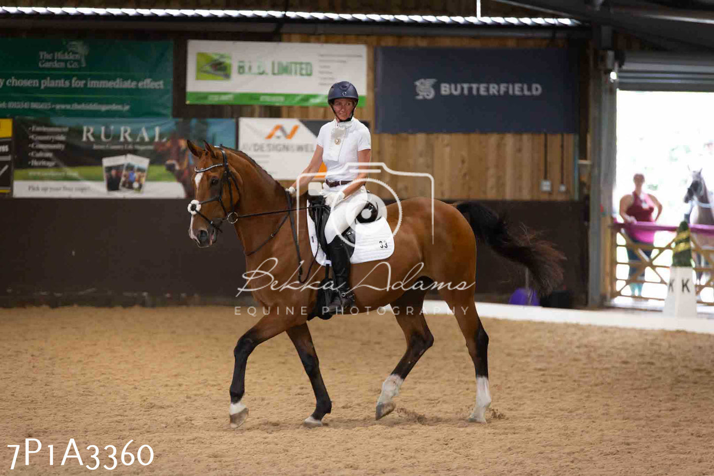 JHOYS 2023 - 8th September - Dressage