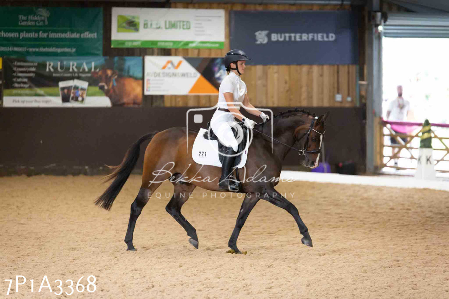 JHOYS 2023 - 8th September - Dressage
