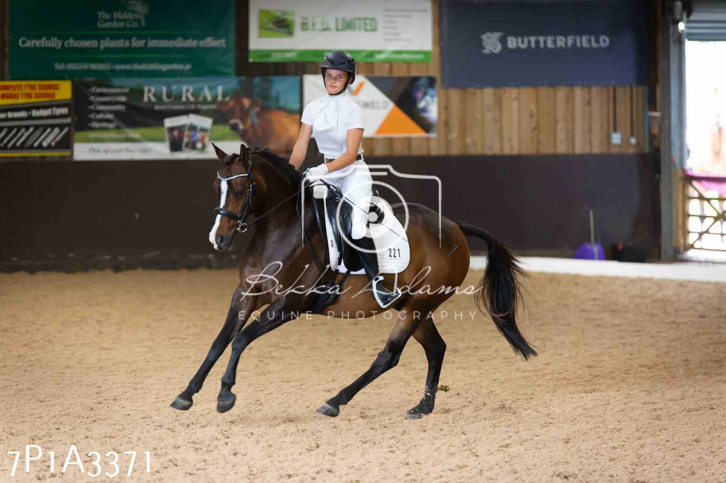 JHOYS 2023 - 8th September - Dressage