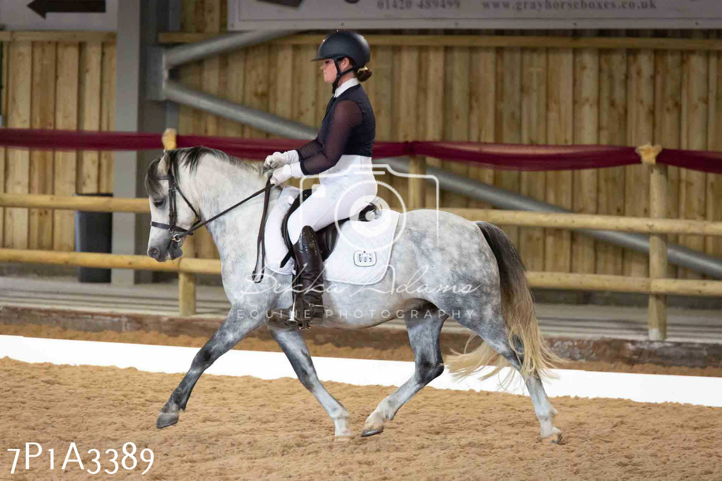 JHOYS 2023 - 8th September - Dressage