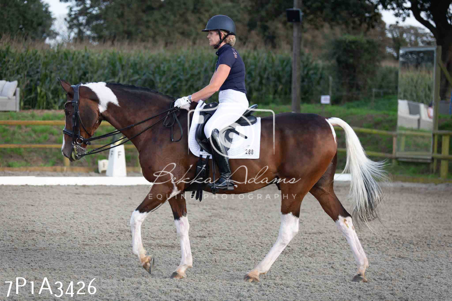 JHOYS 2023 - 8th September - Dressage
