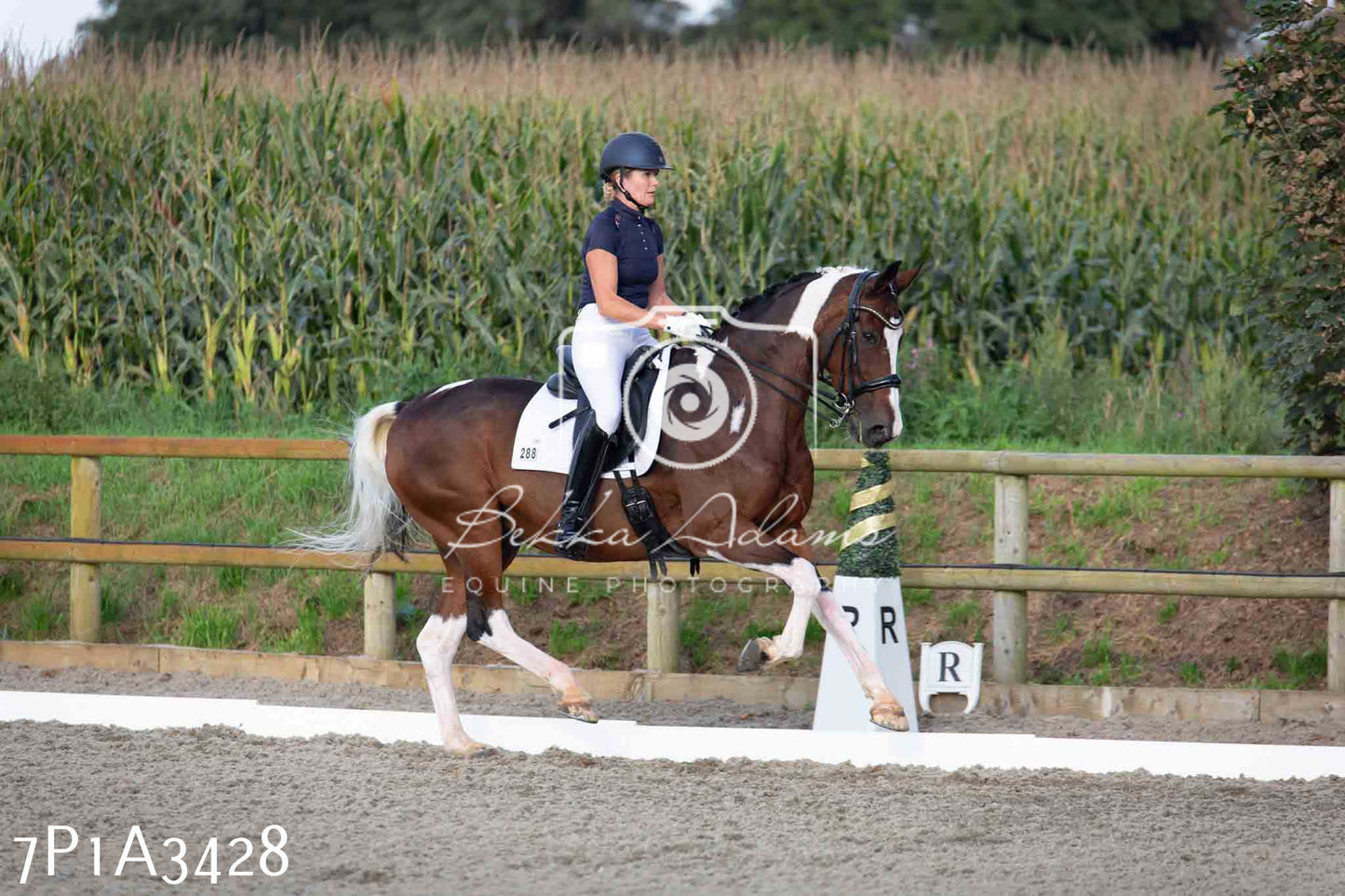 JHOYS 2023 - 8th September - Dressage