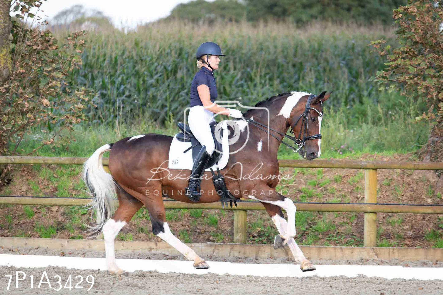 JHOYS 2023 - 8th September - Dressage