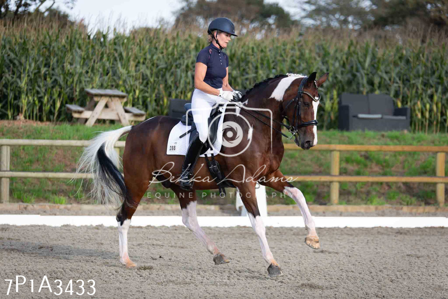 JHOYS 2023 - 8th September - Dressage