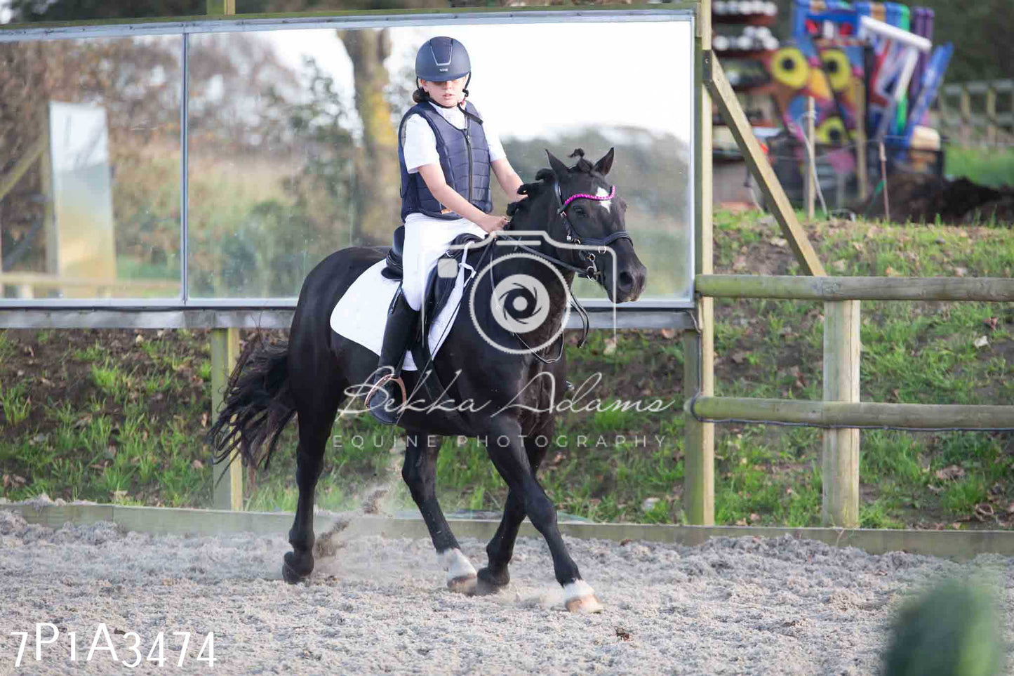 JHOYS 2023 - 8th September - Dressage