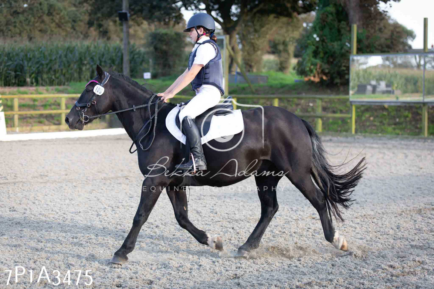 JHOYS 2023 - 8th September - Dressage