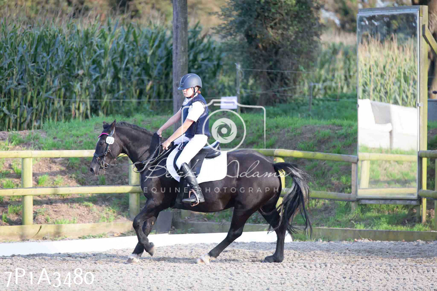 JHOYS 2023 - 8th September - Dressage
