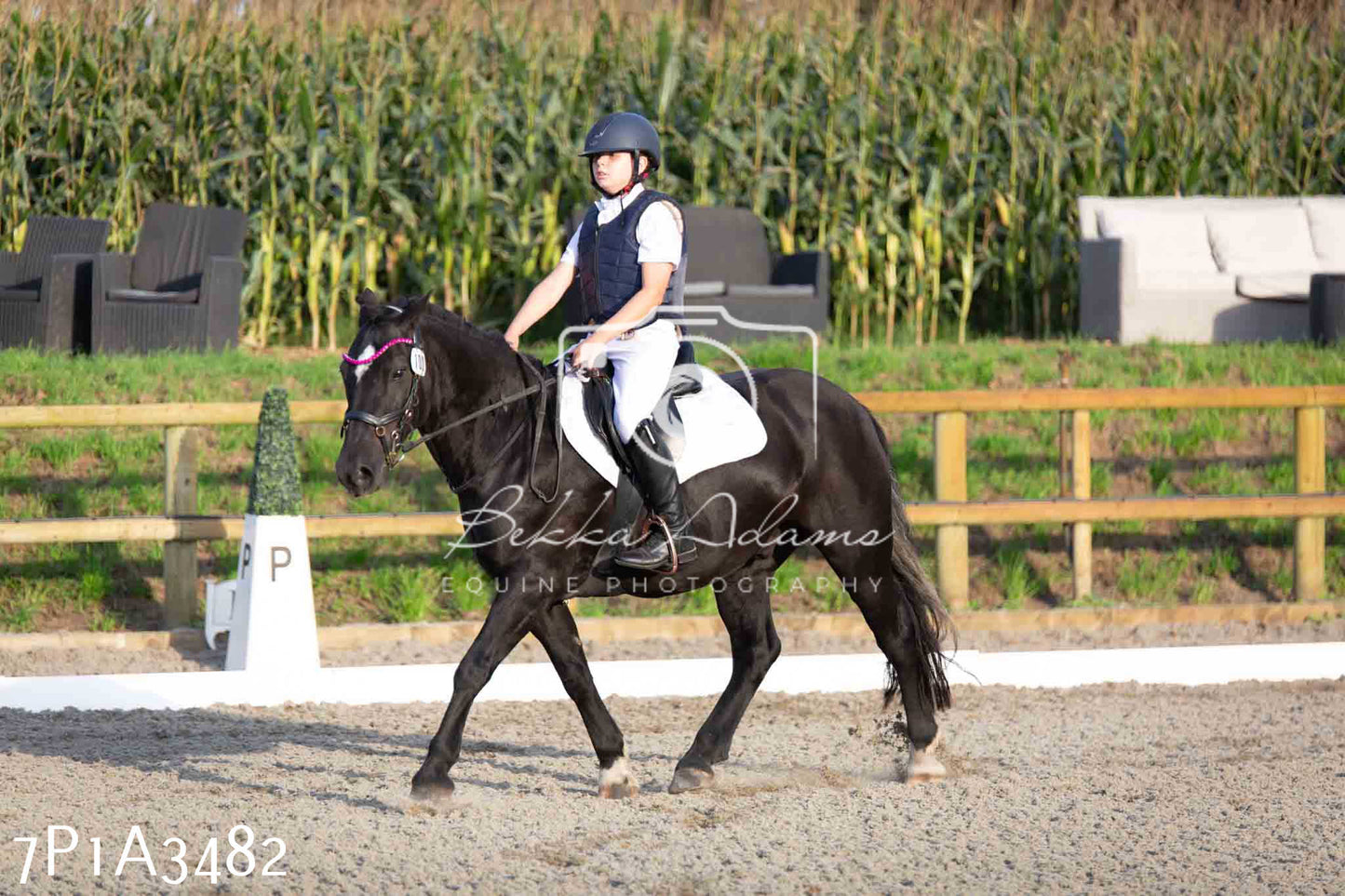 JHOYS 2023 - 8th September - Dressage