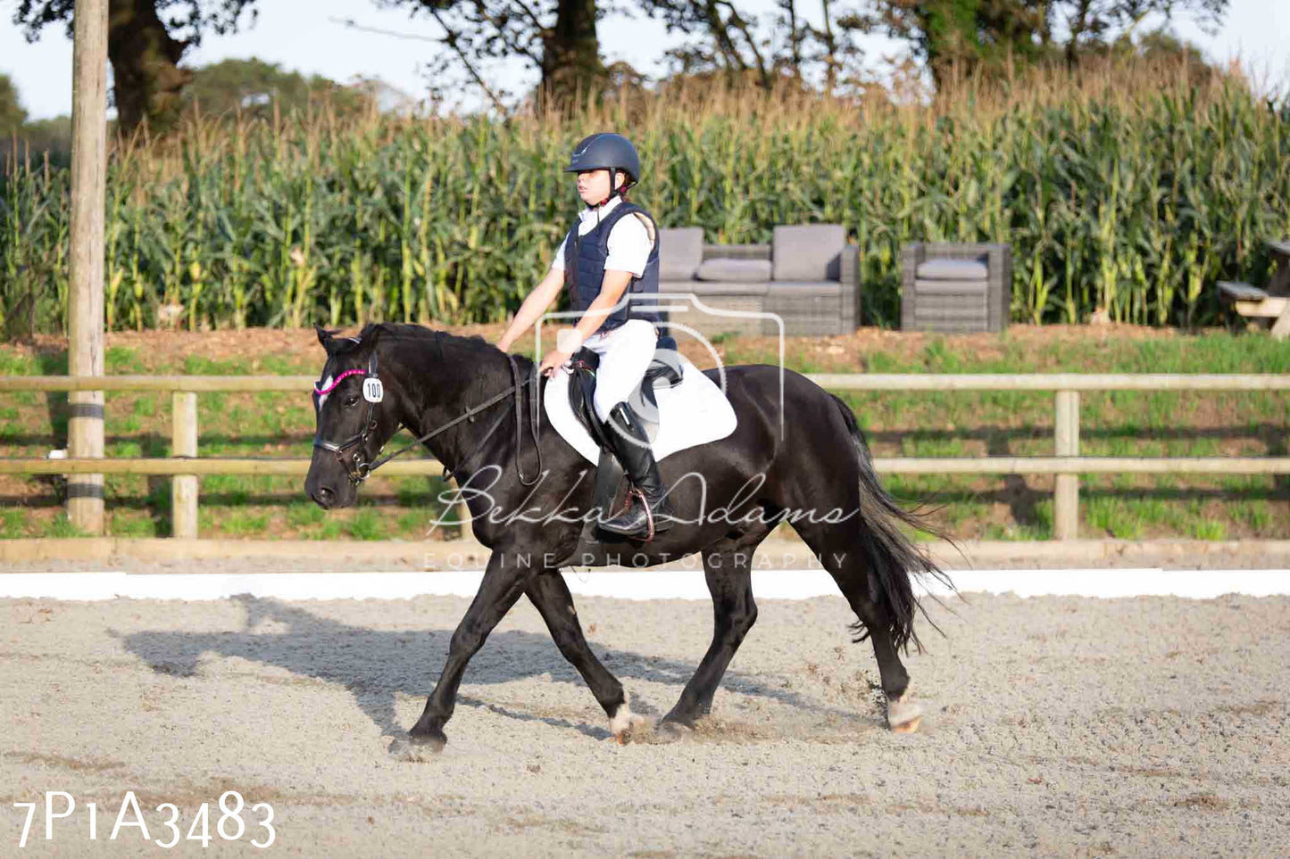JHOYS 2023 - 8th September - Dressage