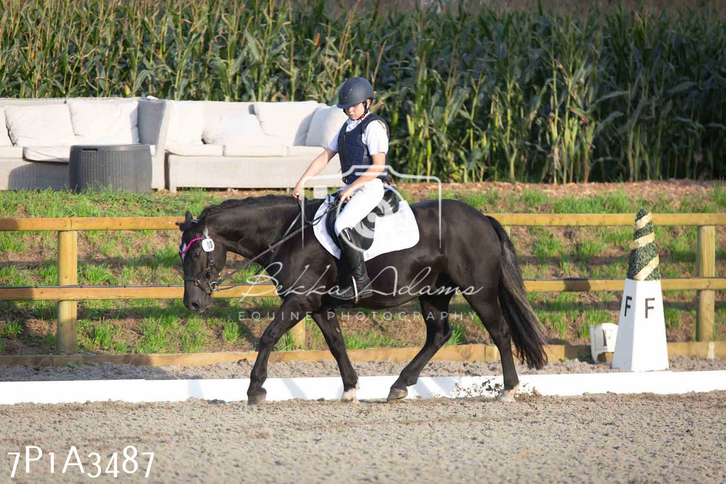 JHOYS 2023 - 8th September - Dressage