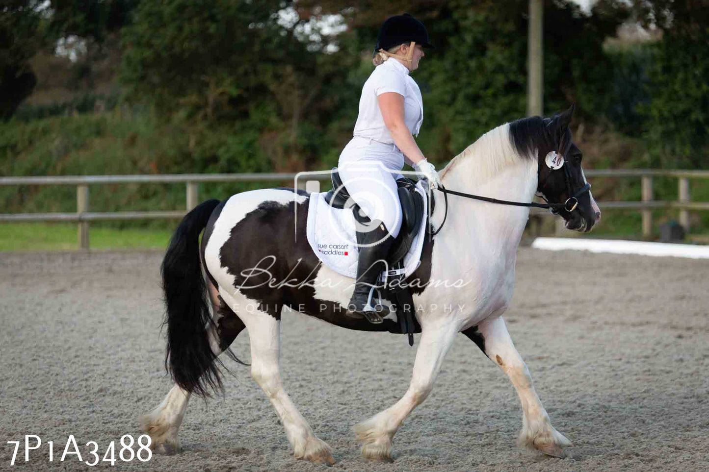 JHOYS 2023 - 8th September - Dressage