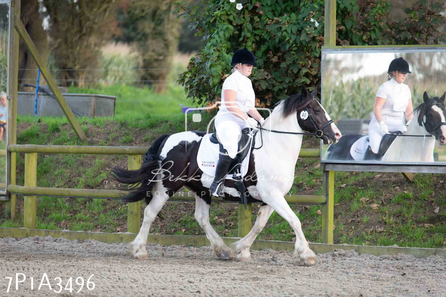 JHOYS 2023 - 8th September - Dressage