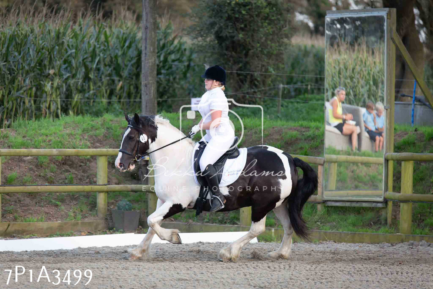 JHOYS 2023 - 8th September - Dressage