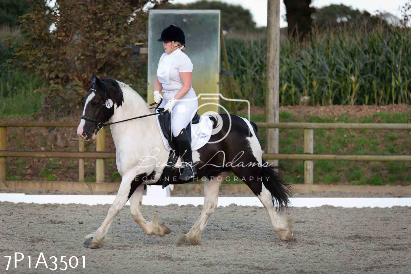 JHOYS 2023 - 8th September - Dressage