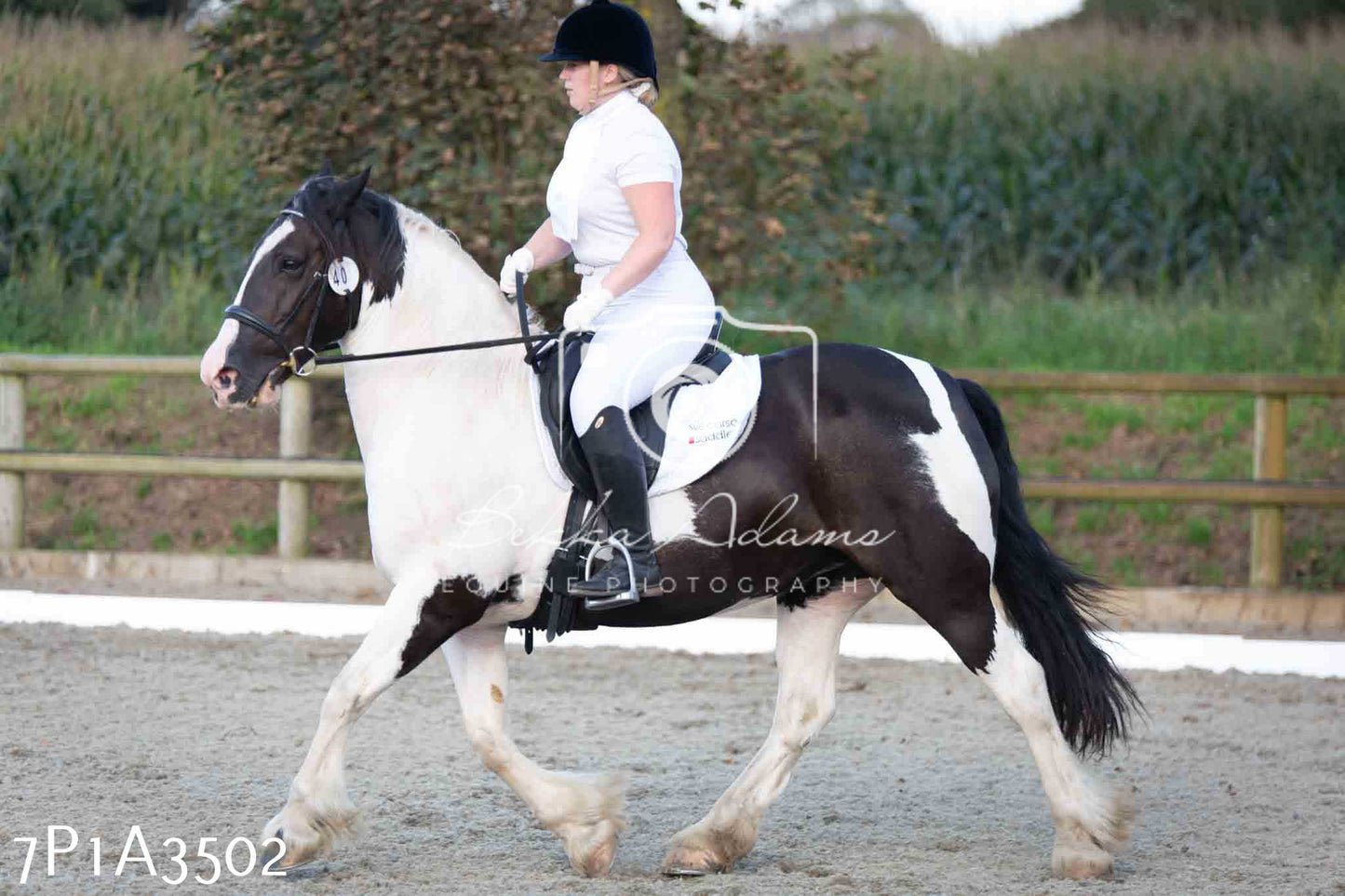 JHOYS 2023 - 8th September - Dressage