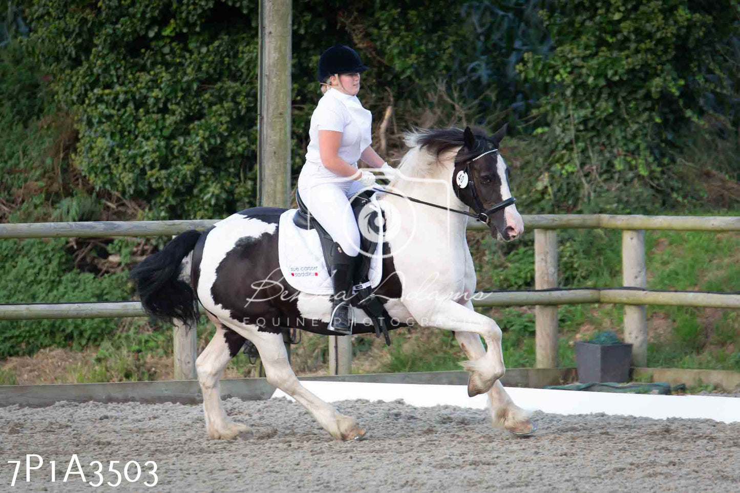JHOYS 2023 - 8th September - Dressage