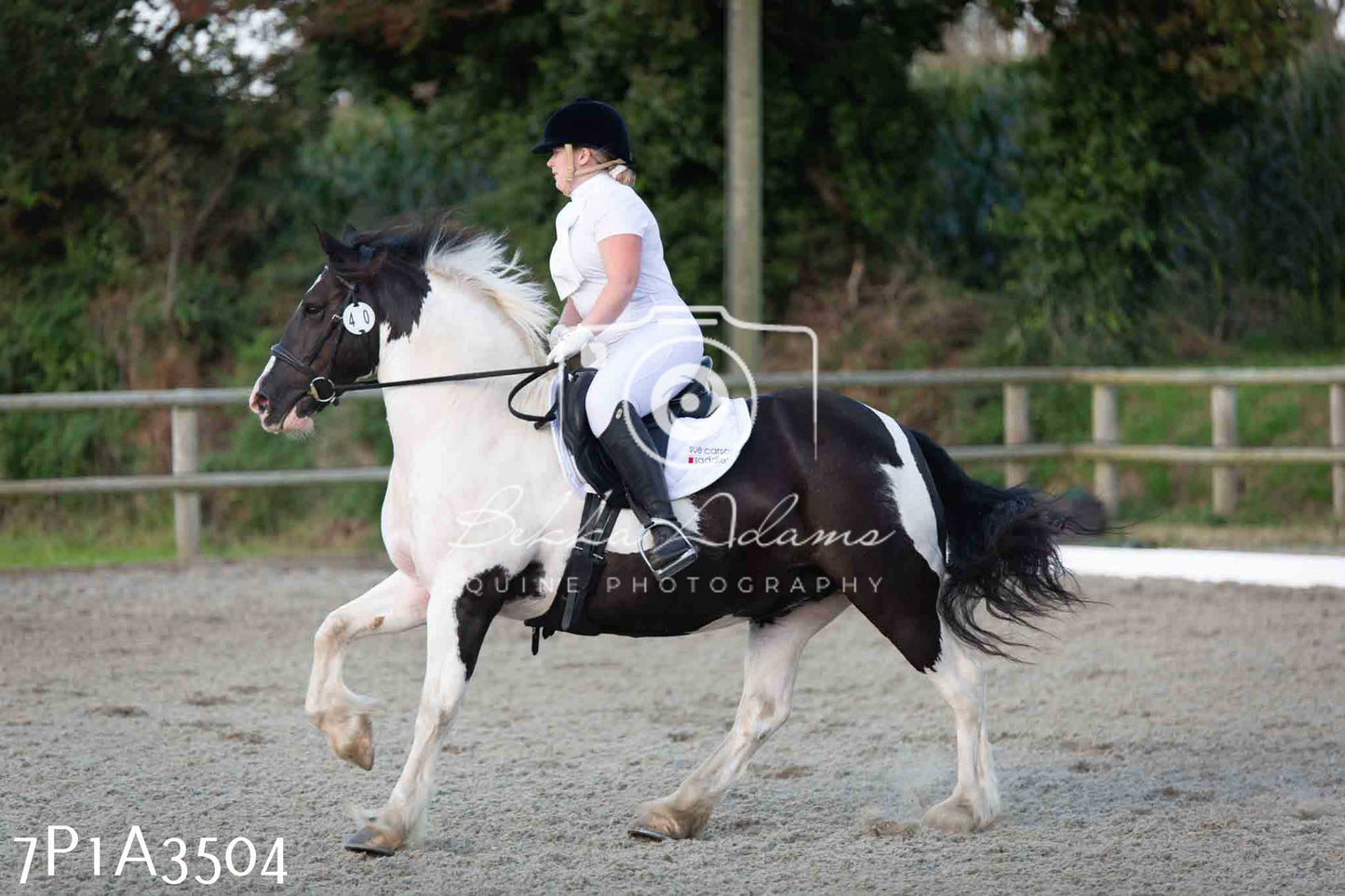 JHOYS 2023 - 8th September - Dressage