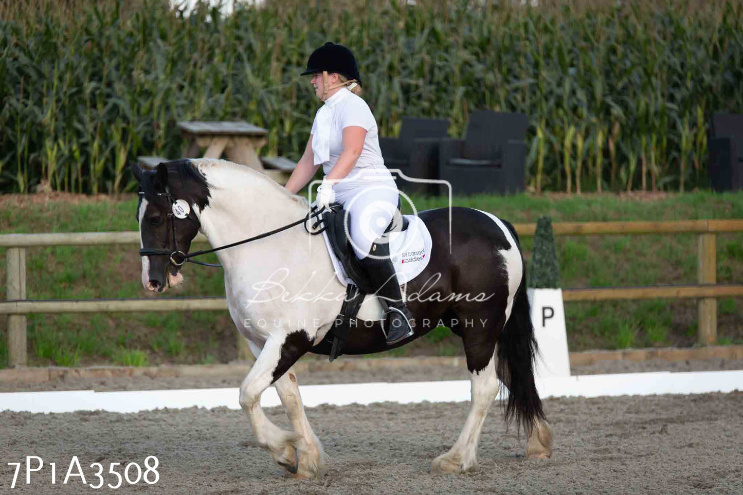 JHOYS 2023 - 8th September - Dressage