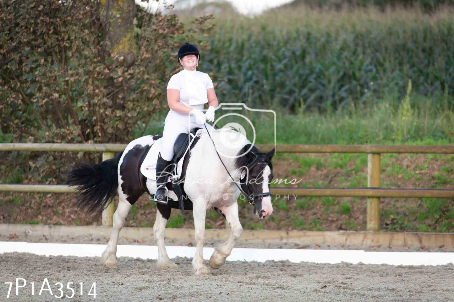 JHOYS 2023 - 8th September - Dressage